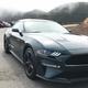 Illustration for article titled The 2019 Ford Mustang Bullitt Is Everything You Want It to Be